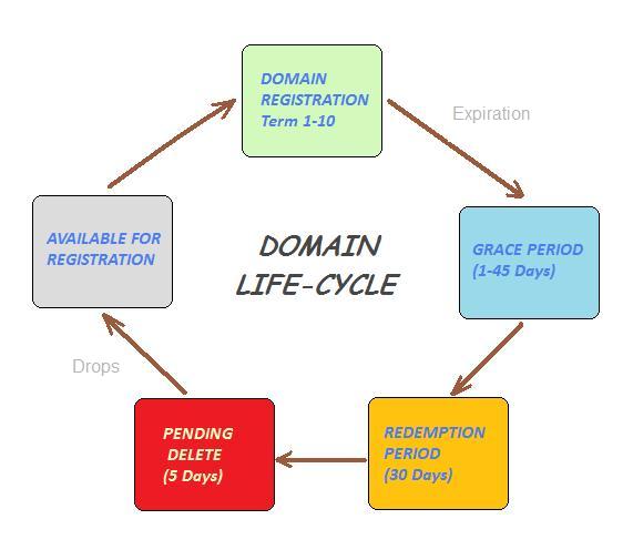 Domain Life Cycle Explained  Hosting Blog from eUKhost