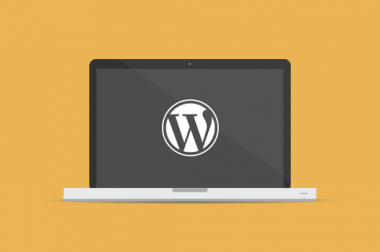 WordPress for your website