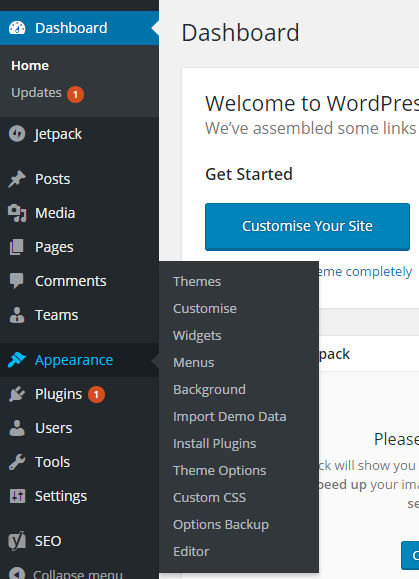 How to Install a WordPress Theme - wp10 1