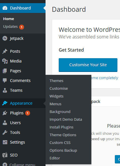 How to Install a WordPress Theme - wp10 7