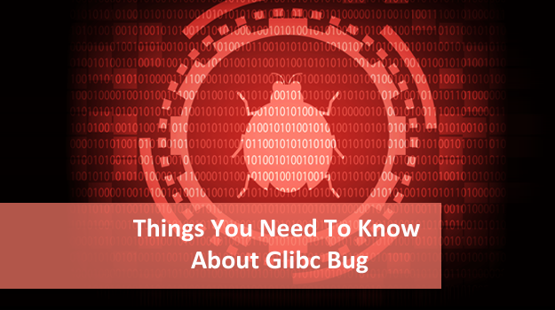 Things you Need to Know About Glibc Bug