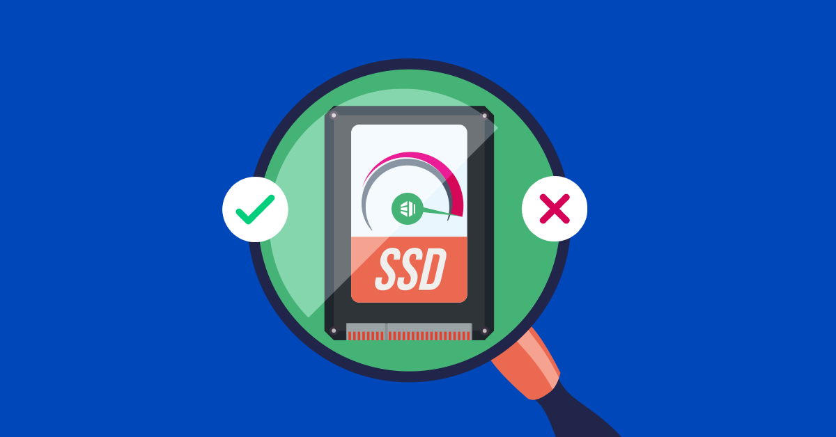 The Professionals and Cons of SSD Internet hosting and Storage