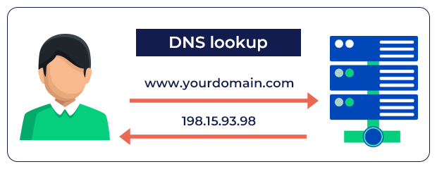 DNS lookup