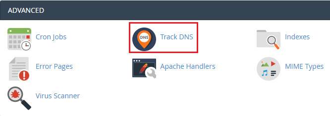 Track DNS