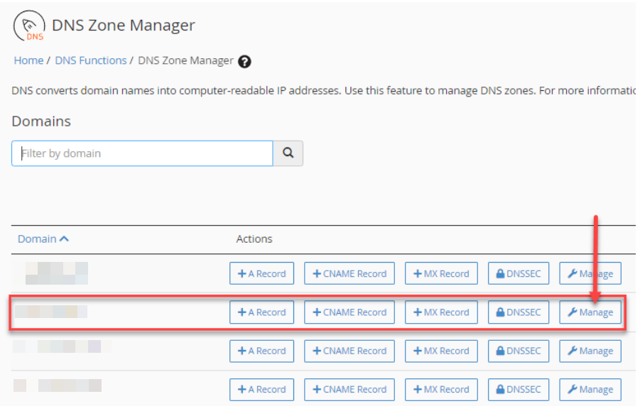 dns zone manager