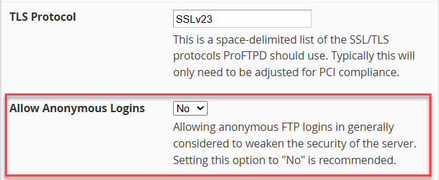 allow anonymous logins