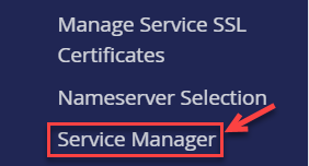 service manager